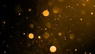 金色粒子飘散视频视频的预览图